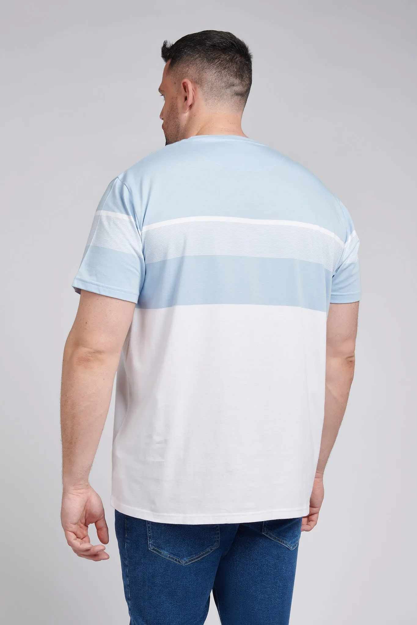 Mens Big & Tall Block Stripe T-Shirt in Cashmere Blue